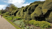 16th Apr 2024 - Walmer Castle gardens