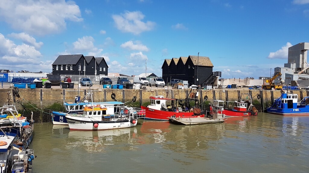 Whitstable Harbour by bunnymadmeg