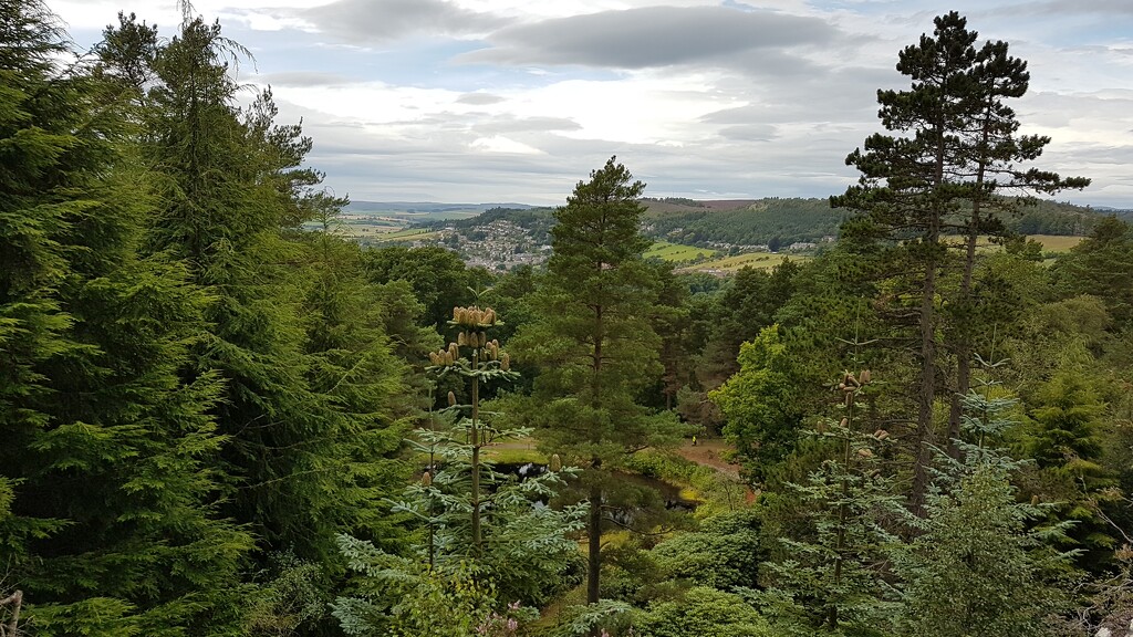 Cragside by bunnymadmeg