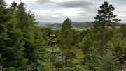 13th Aug 2024 - Cragside