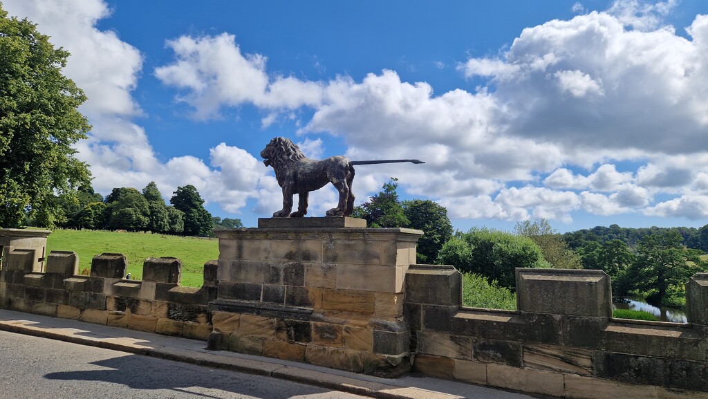 Alnwick Lion Bridge by bunnymadmeg