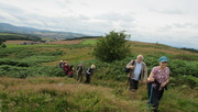 25th Jul 2024 - Out with the walking group