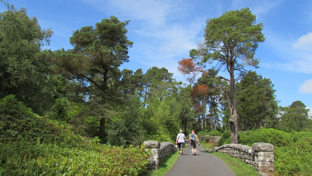 Cragside carriage drives by bunnymadmeg