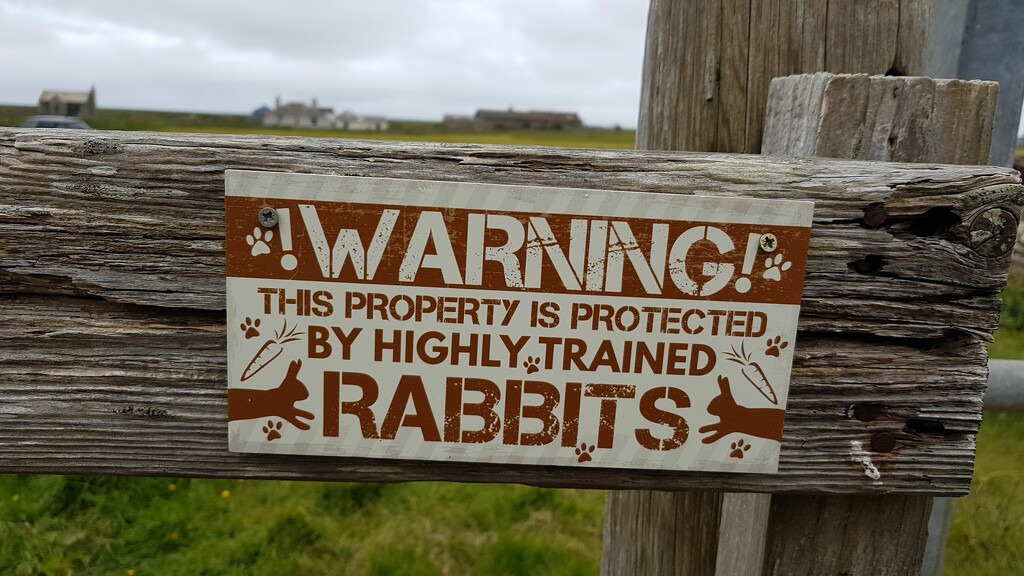 Warning! Killer Rabbits! by bunnymadmeg