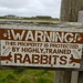 Warning! Killer Rabbits! by bunnymadmeg