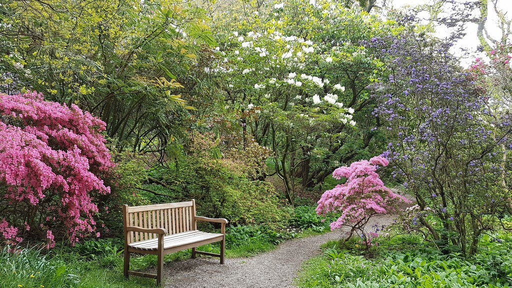 Howick Hall Gardens by bunnymadmeg