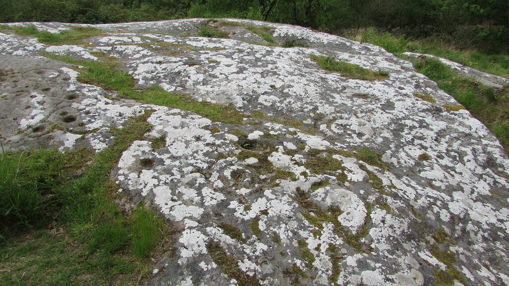 Cup and ring marked rock by bunnymadmeg