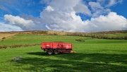 17th Mar 2024 - Fields near Wooler