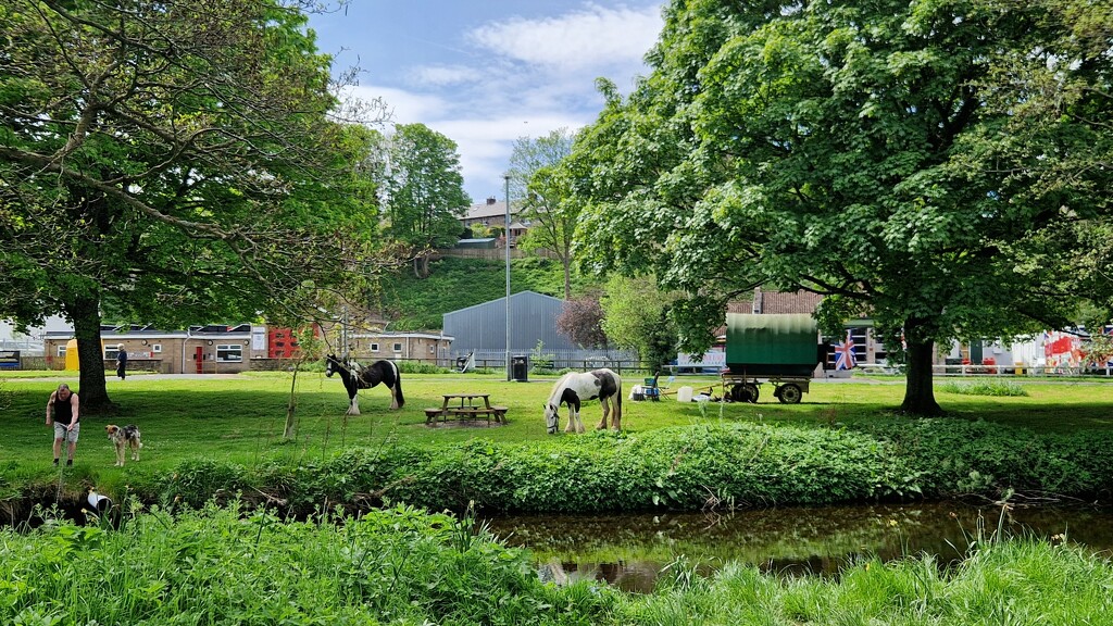 Gypsy caravan in Wooler by bunnymadmeg