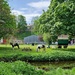 Gypsy caravan in Wooler by bunnymadmeg