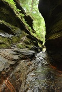 25th Aug 2024 - The Slot Canyon 