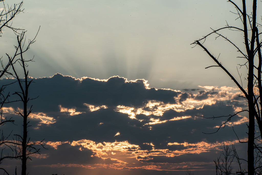 Sunrise in the Swamp-2 by darchibald