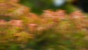 25th Aug 2024 - motion blur 3