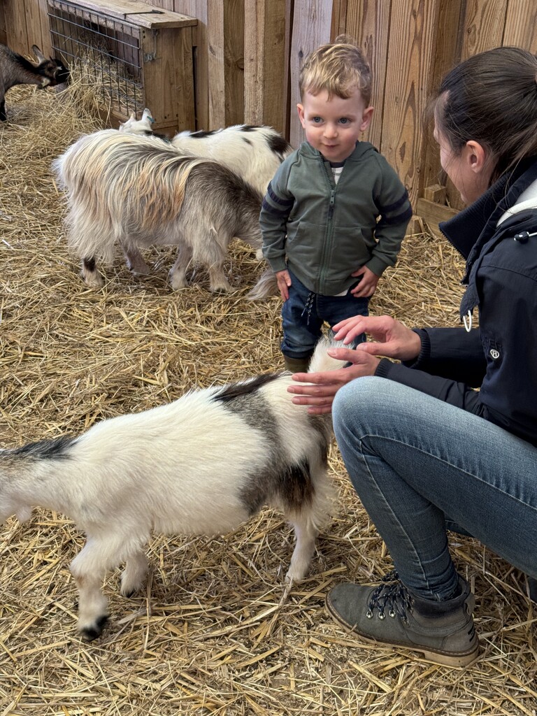 Fun at the Farm Park by susiemc