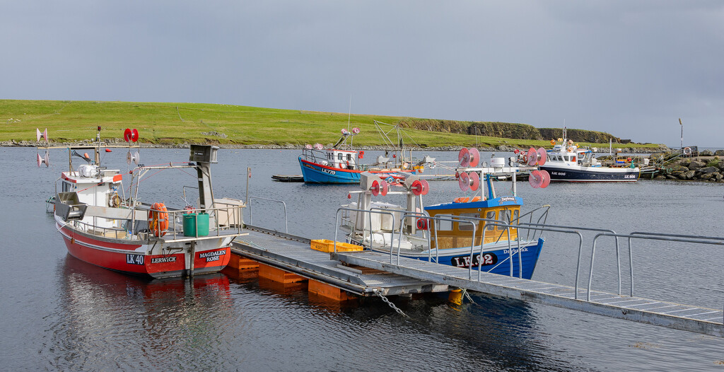 Creel Boats by lifeat60degrees