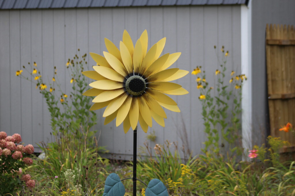 Sunflower Spinner by huger