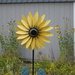 Sunflower Spinner by huger