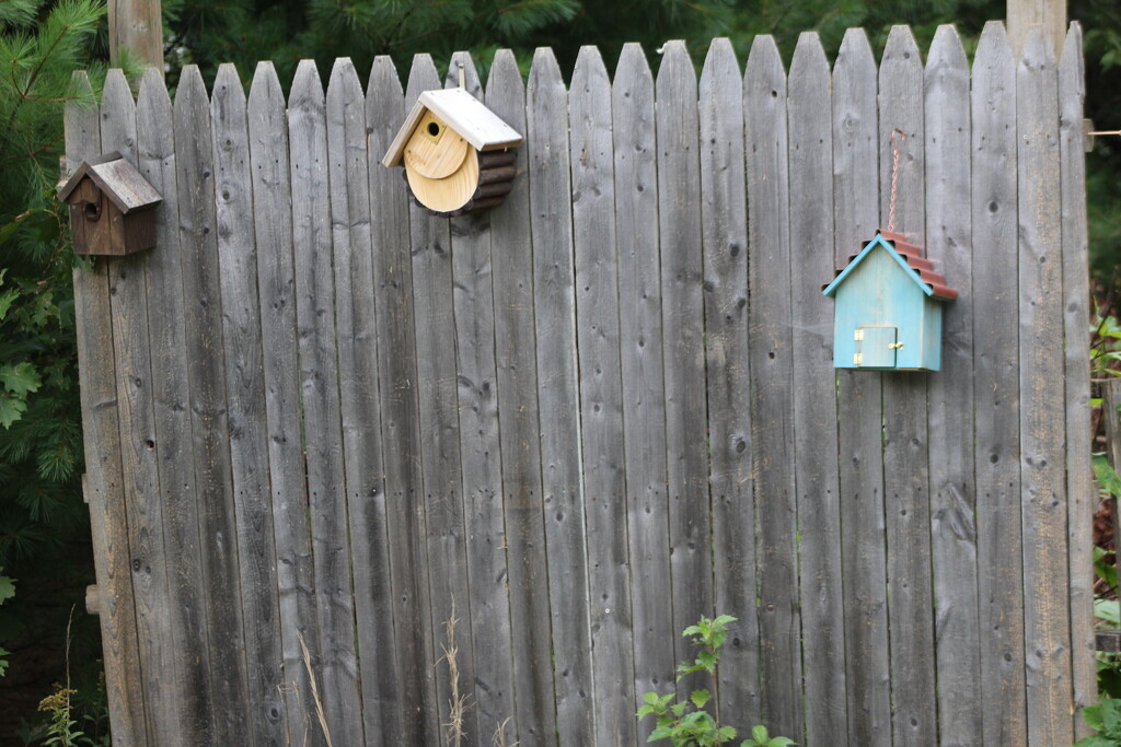 Bird Houses by huger