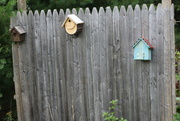 25th Aug 2024 - Bird Houses