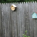 Bird Houses by huger