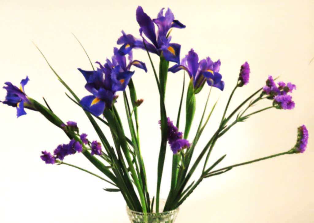 Purple Iris & Statice .. A Gift ~ by happysnaps