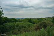 25th Aug 2024 - The Loess Hills western Iowa