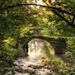 Dreamy Bridge Fishing by pdulis