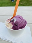 25th Aug 2024 - Strawberry and Purple Cow Ice Cream