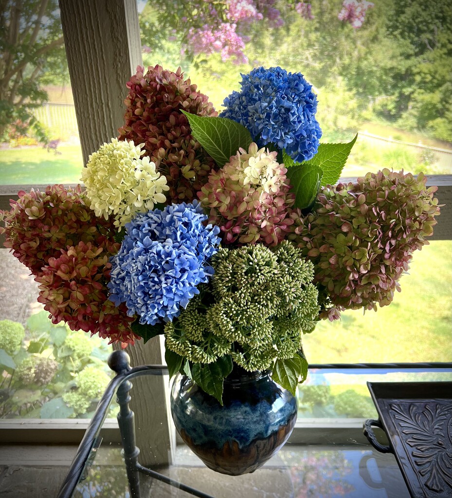 Flowers from the Yard by calm