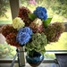 Flowers from the Yard by calm