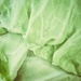 Lettuce by edorreandresen