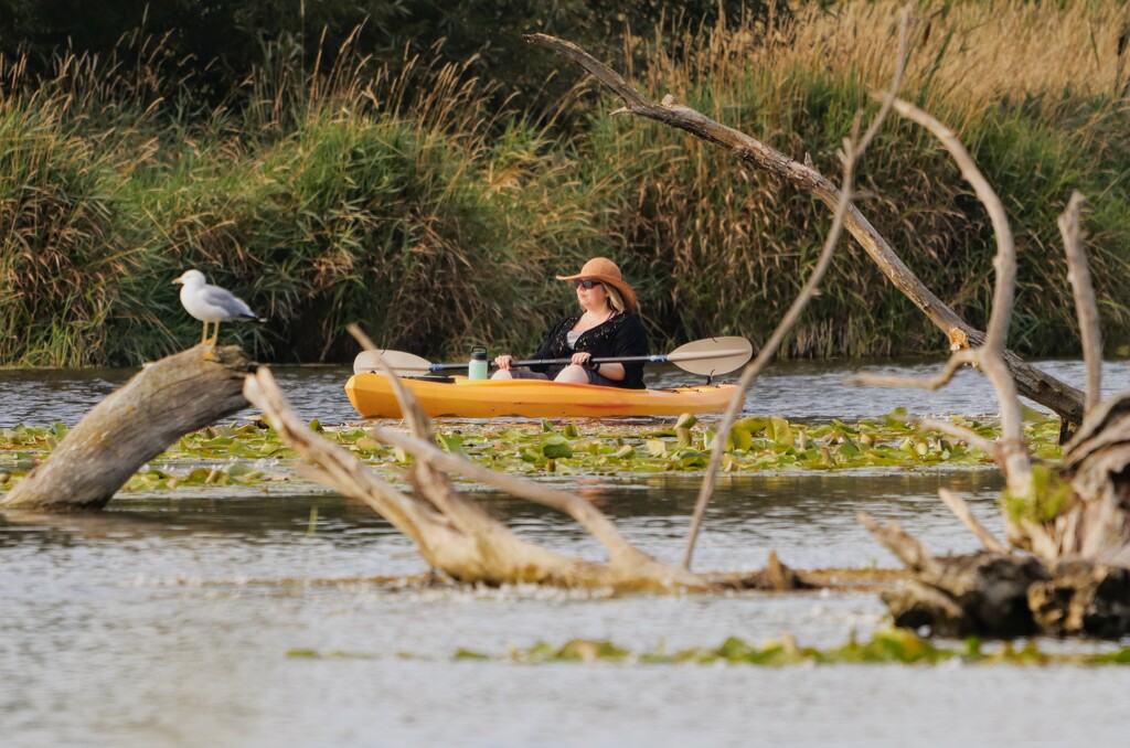 Contemplative Kayaker by princessicajessica