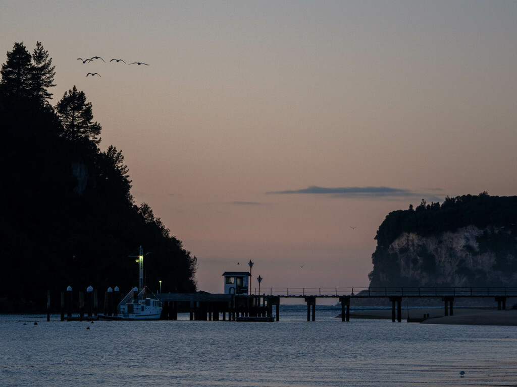 Birds in flight by christinav