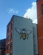 25th Aug 2024 - Bee Happy