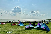 26th Aug 2024 - Kites, people and swans were mingling together :)