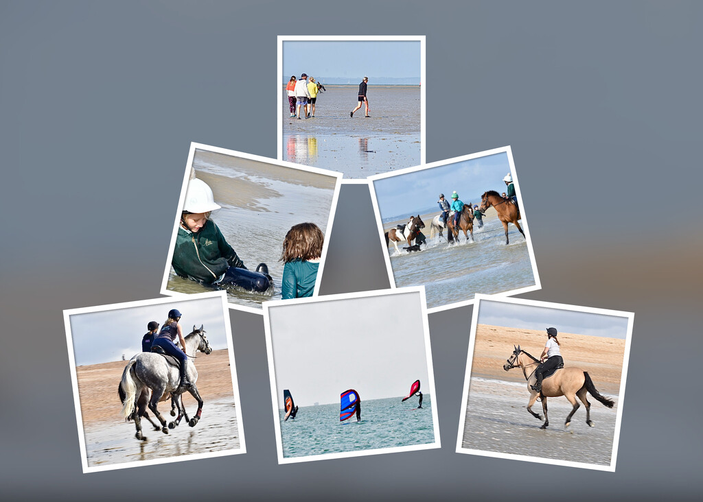 Morning walk on the beach by wakelys