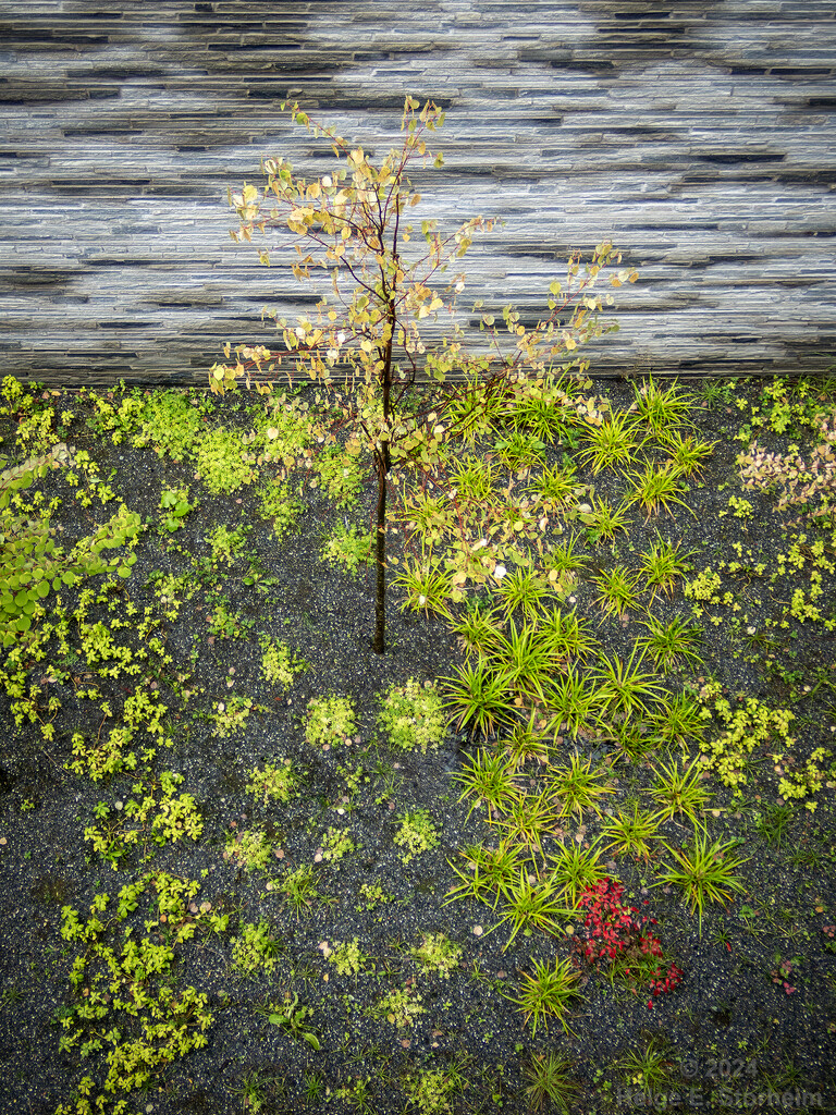 Looking down by helstor365