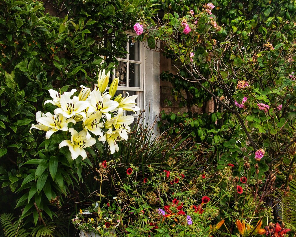 In a country cottage garden…… by billdavidson