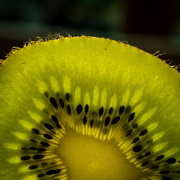 26th Aug 2024 - Kiwi