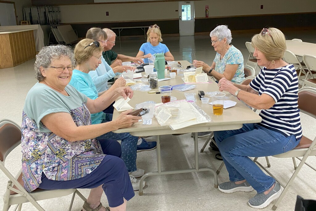 Master Gardeners packaging seeds to sell by tunia