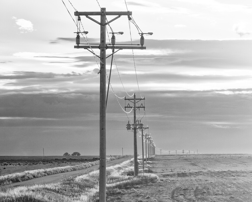 sunset poles by aecasey