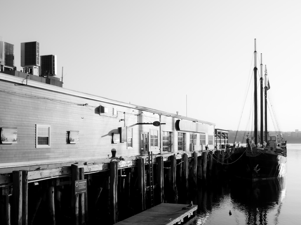 Halifax waterfront by northy