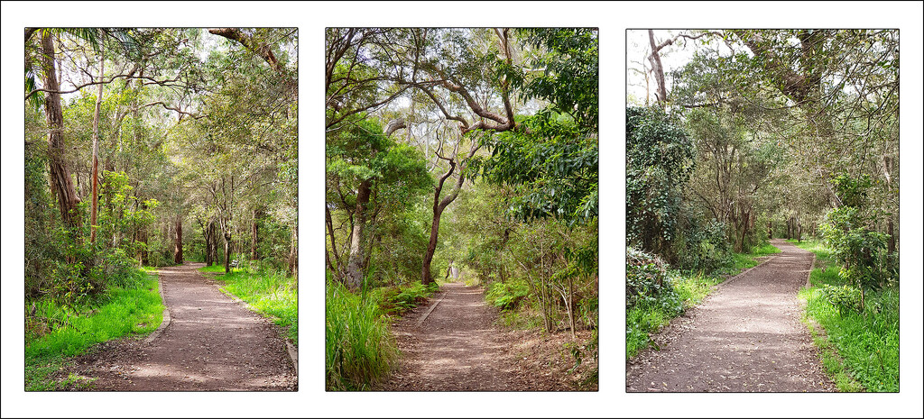 Along the Cycle Path by onewing