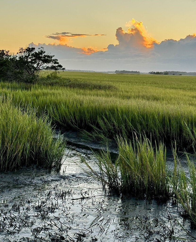 Marsh sunset at low tide by congaree