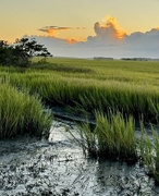 28th Aug 2024 - Marsh sunset at low tide