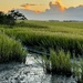 Marsh sunset at low tide by congaree