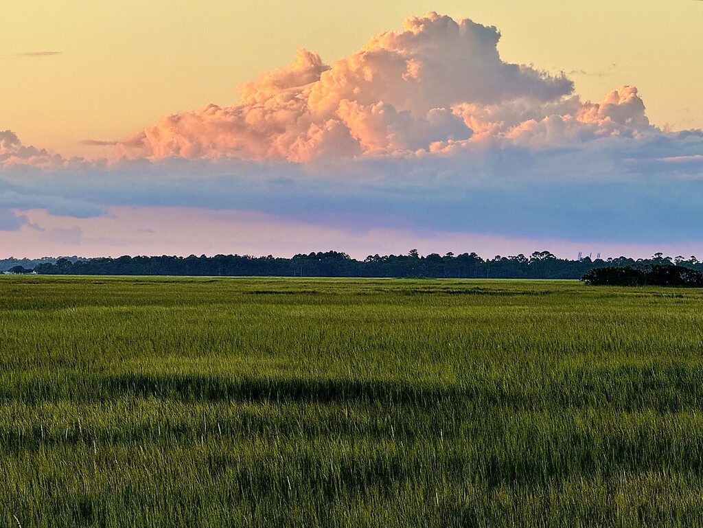 Marsh sunset  by congaree