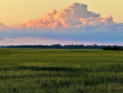 28th Aug 2024 - Marsh sunset 