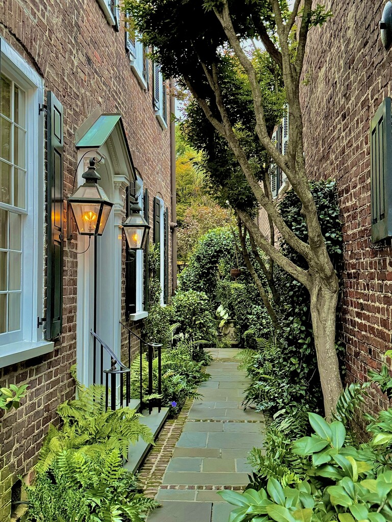 Garden Pathway, Historic District, Charleston by congaree