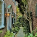 Garden Pathway, Historic District, Charleston